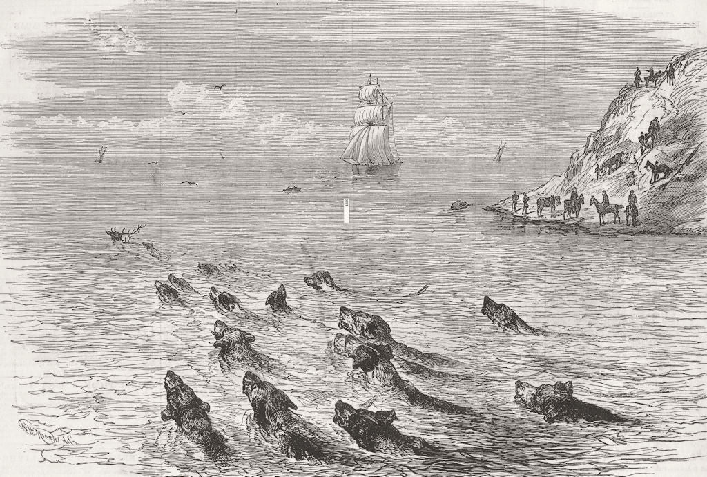 DEVON. Incident with & Somt staghounds 1880 old antique vintage print picture